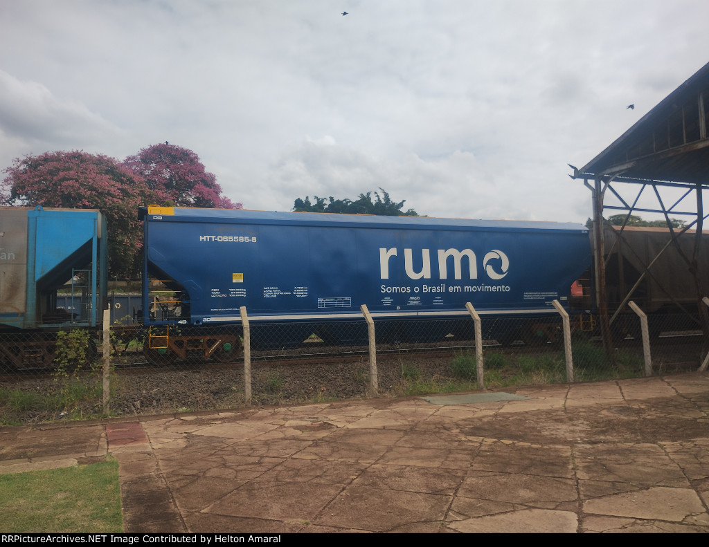 RUMO HTT-065585-6